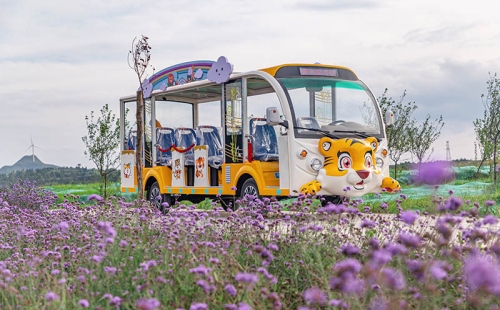 電動觀光車廠家哪個品牌好，電動觀光車市場價格